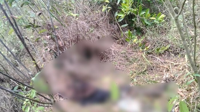 g Sepekan, Remaja 15 Tahun di Muara Enim Ditemukan Meninggal di Kebun
