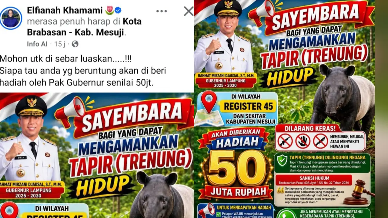 Pemerintah Buka Sayembara Rp 50 Juta bagi Warga yang Berhasil Tangkap Tapir Hidup-hidup