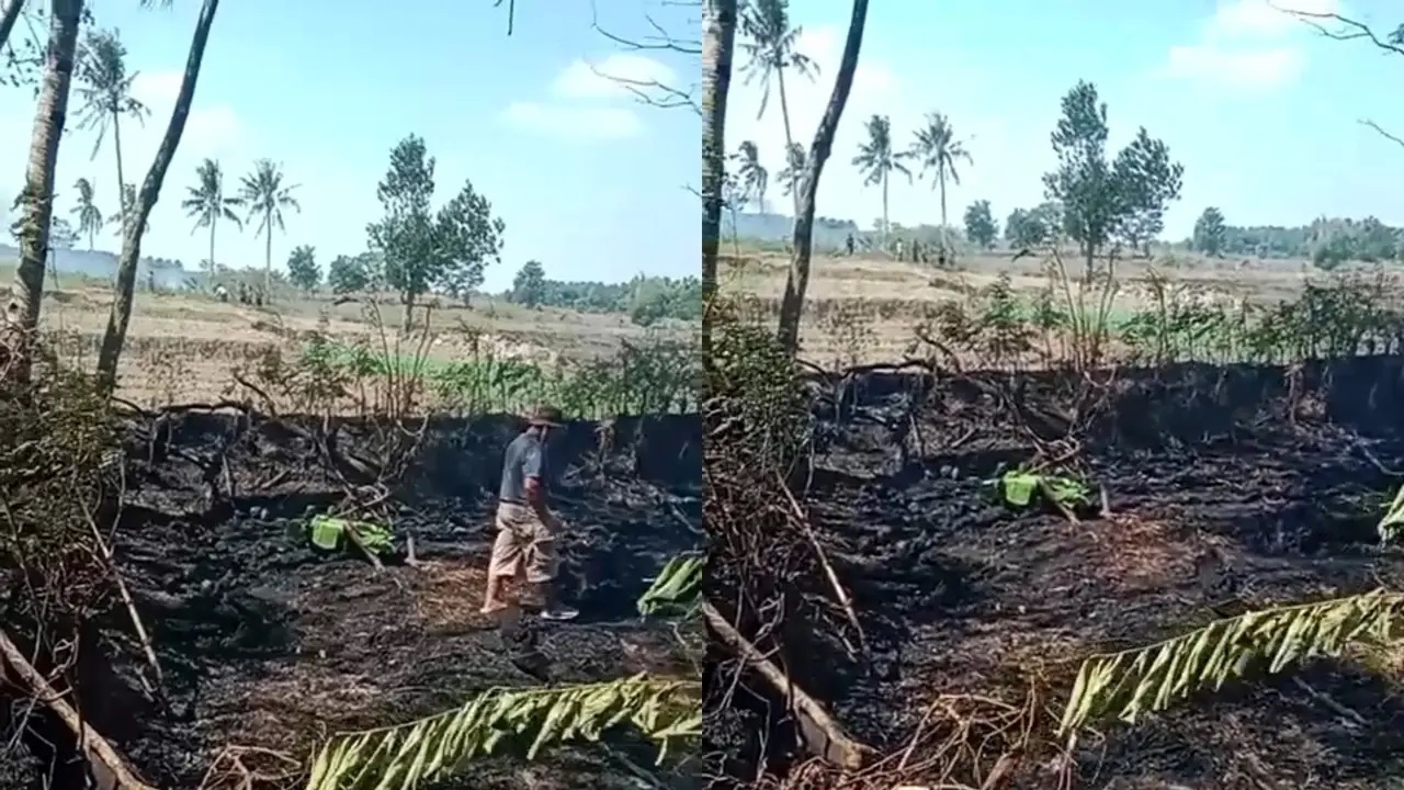 Niat Bersihkan Lahan untuk Tanam Padi, Petani 80 Tahun Tewas Terjebak Api