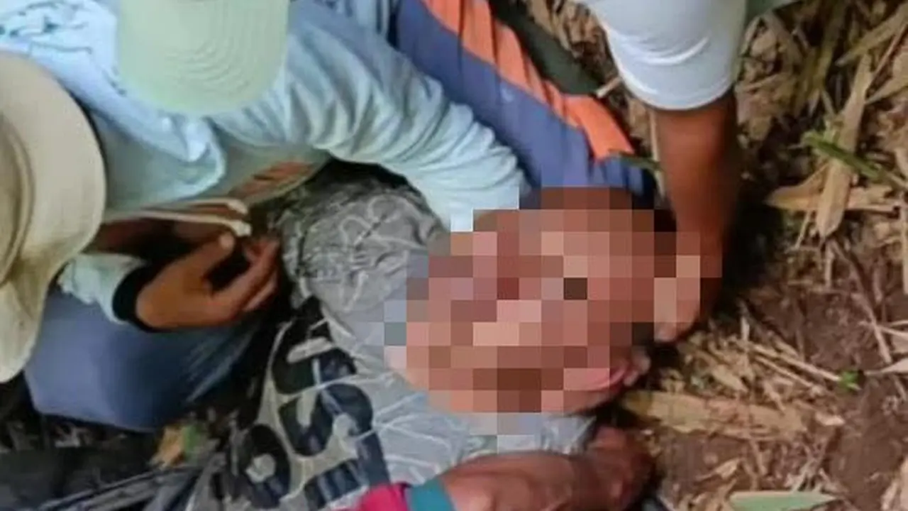 Pria di Sukabumi Ditemukan Pingsan di Area Tebing Usai Turun ke Jurang