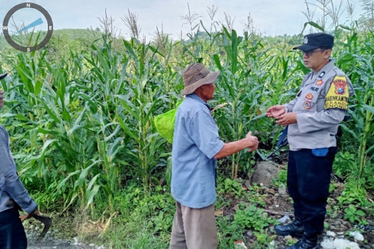 Pantau Lahan Jagung Petani, Polres Pasuruan Kawal Sukses Swasembada Pangan